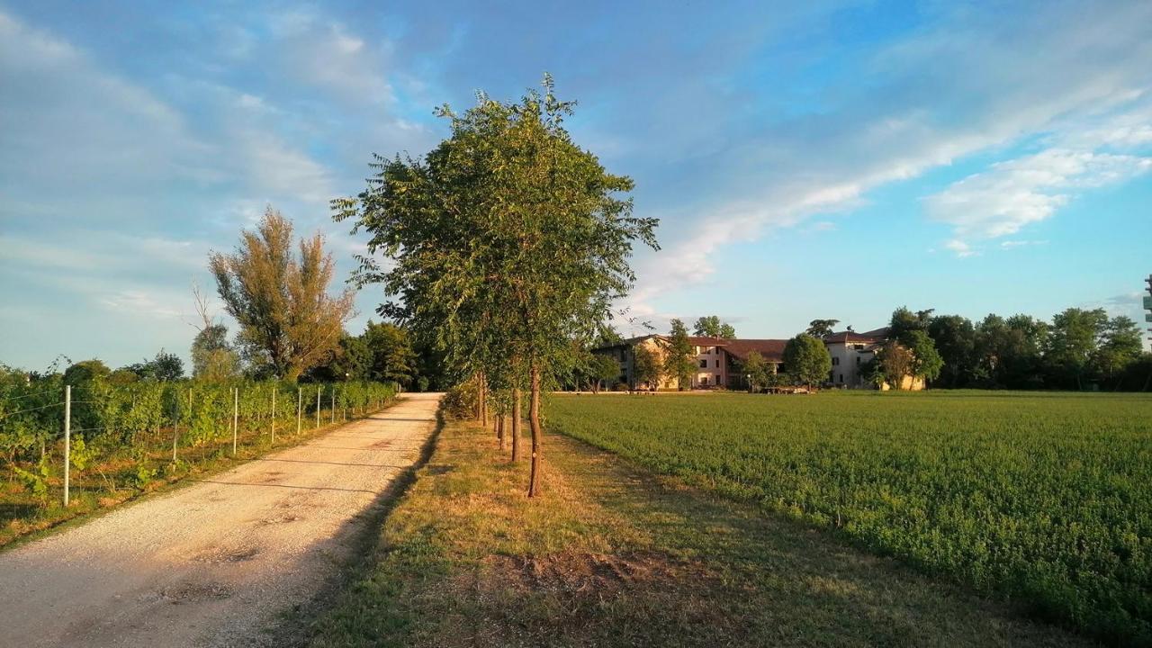 Agriturismo Alle Albare Montorio Veronese Luaran gambar