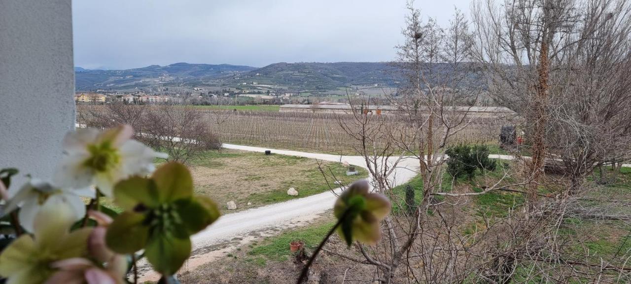 Agriturismo Alle Albare Montorio Veronese Luaran gambar